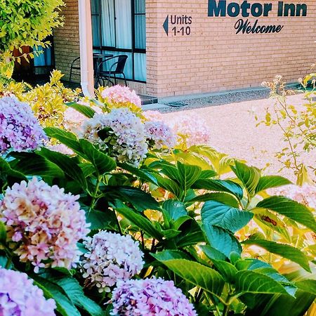 Muswellbrook Motor Inn Eksteriør bilde